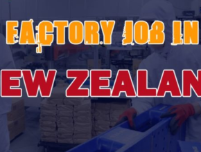 Factory Worker Hiring In New Zealand