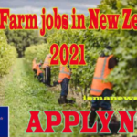 A Seasonal Job on a Farm in New Zealand