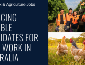 Farm Work Hiring in Australia