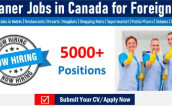 Light-Duty Cleaners Required In Canada