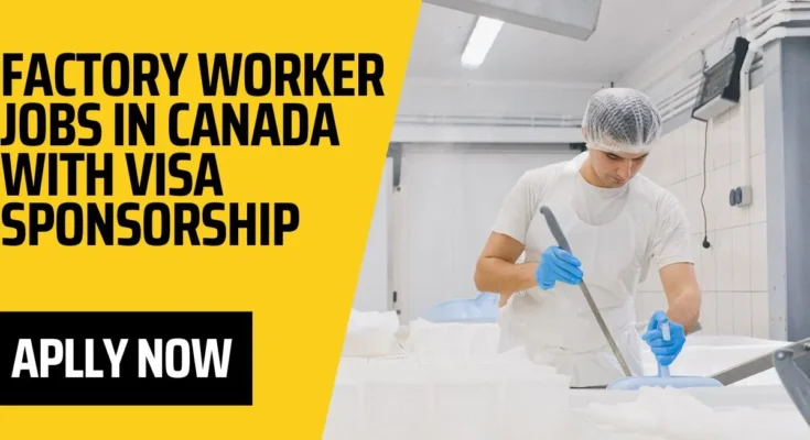 Jobs in Quebec City